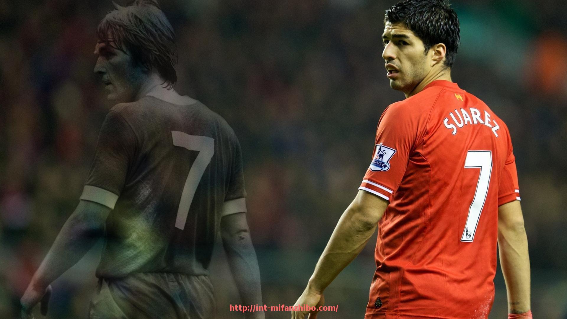 秘饭直播-打造精彩节目单:世俱杯球迷互动内容策划全案集